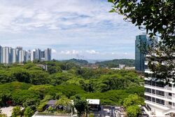 The Interlace (D4), Condominium #559672581